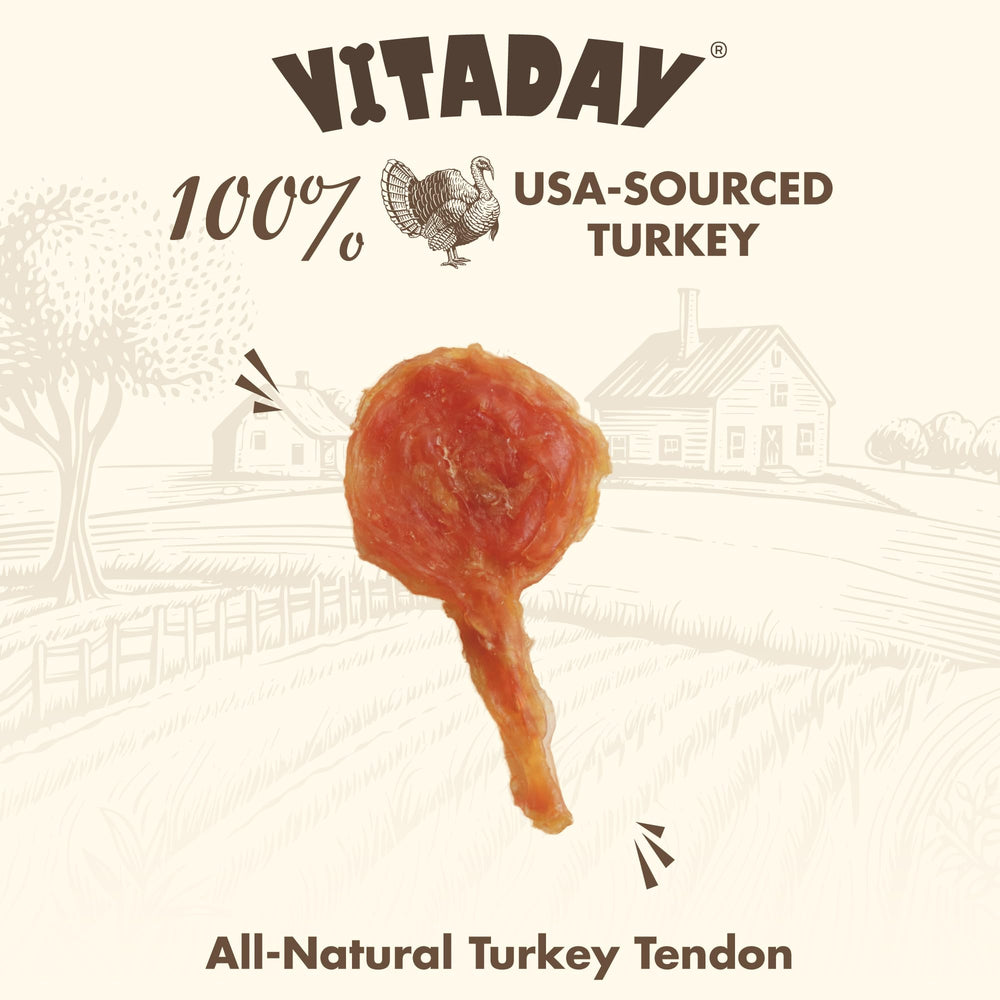 Vitaday Tendons dinde: chien en action, plaisir durable.