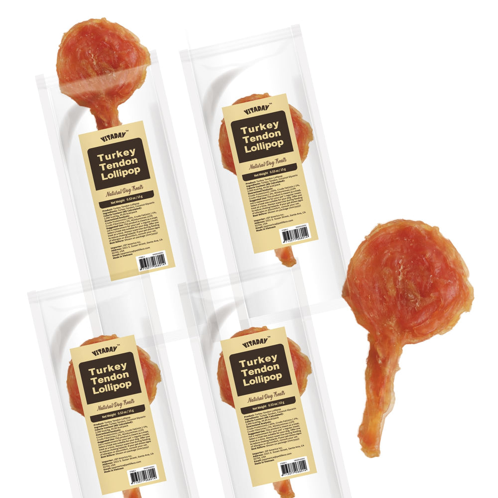 Vitaday Tendons dinde: emballage lot de 4, friandise naturelle pour chien.