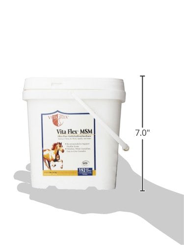 Vita Flex MSM soin peau et poils, brillance et résilience