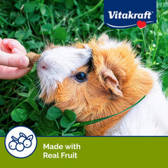 Vitakraft Bursts : récompense gourmande pour petits animaux.