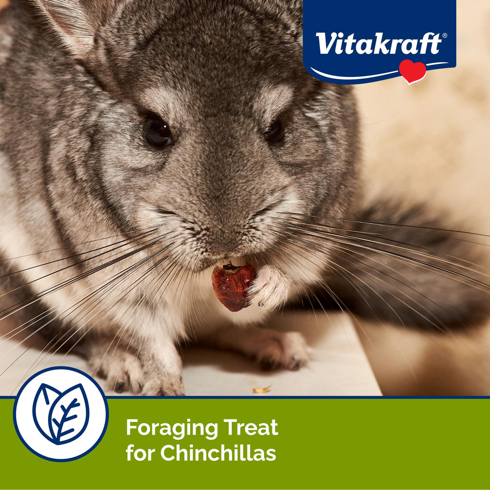 Vitakraft Cocktail Fruits Chinchilla Treat – cynorhodons, apport gustatif naturel pour varier les friandises.