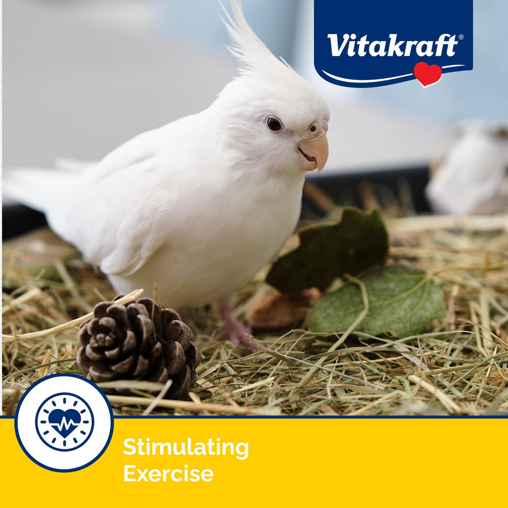 Vitakraft Collation enrichissante pour calopsitte, stimulation quotidienne.
