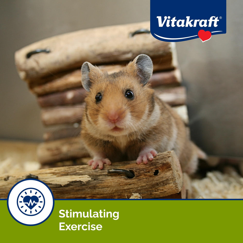 Enrichissement quotidien pour hamsters et gerbilles, snack qui occupe.