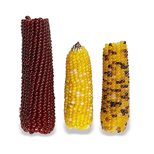 Vitakraft Mini-Pop pour l'enrichissement quotidien, stimulant le comportement naturel.