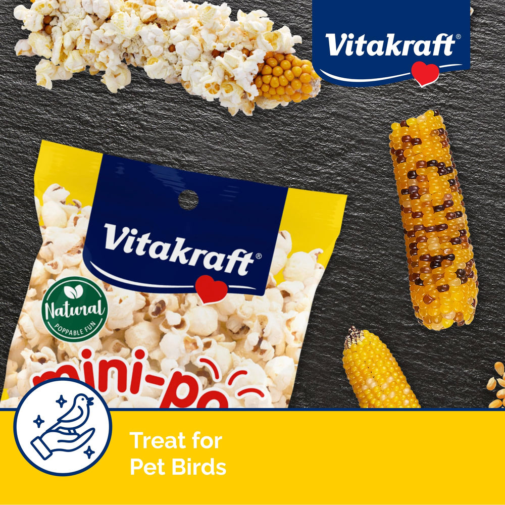 Vitakraft Mini-Pop oiseau dégustant le goûter direct, snack rapide et engageant.