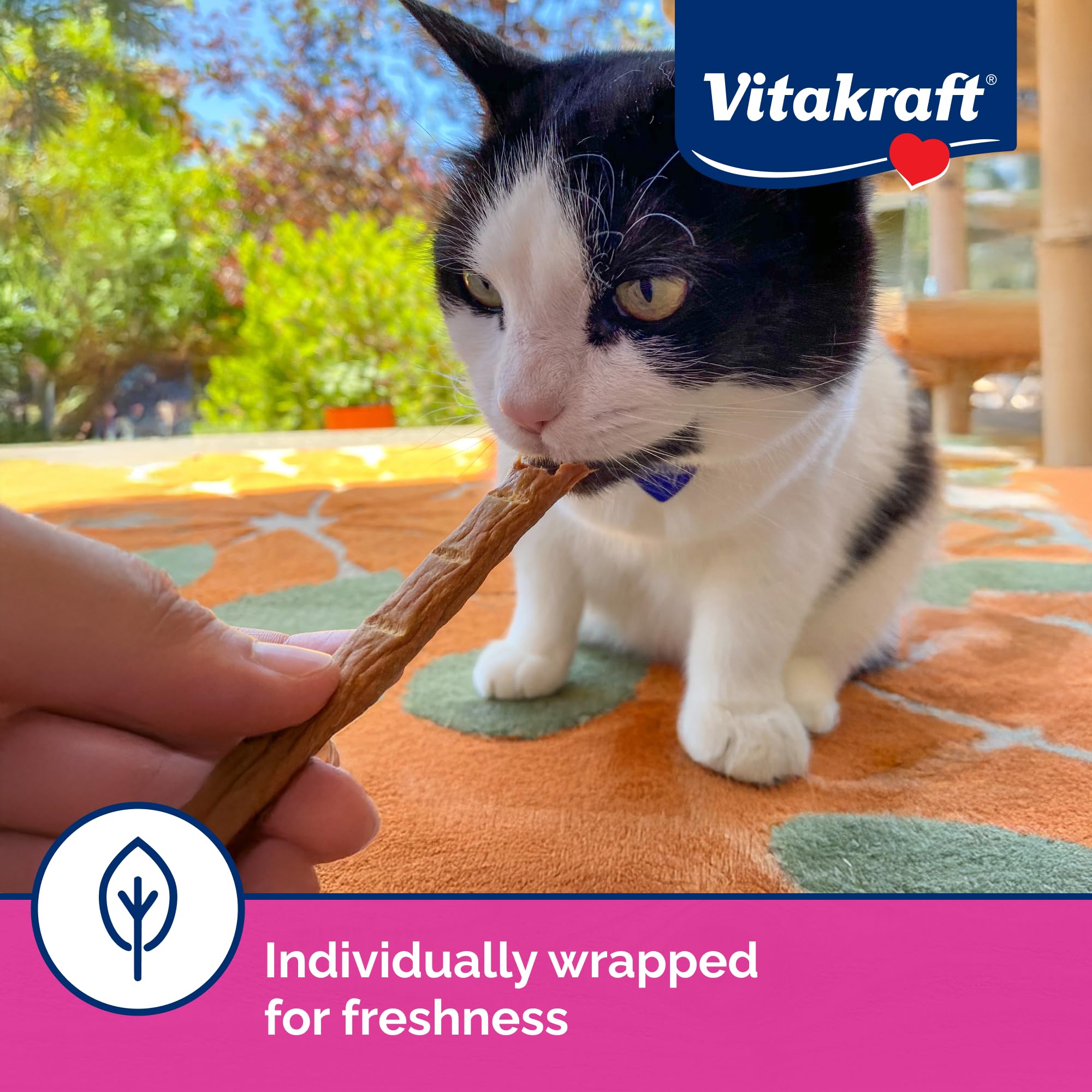 Vitakraft PurrSticks poulet – sans sucre ajouté pour une collation simple