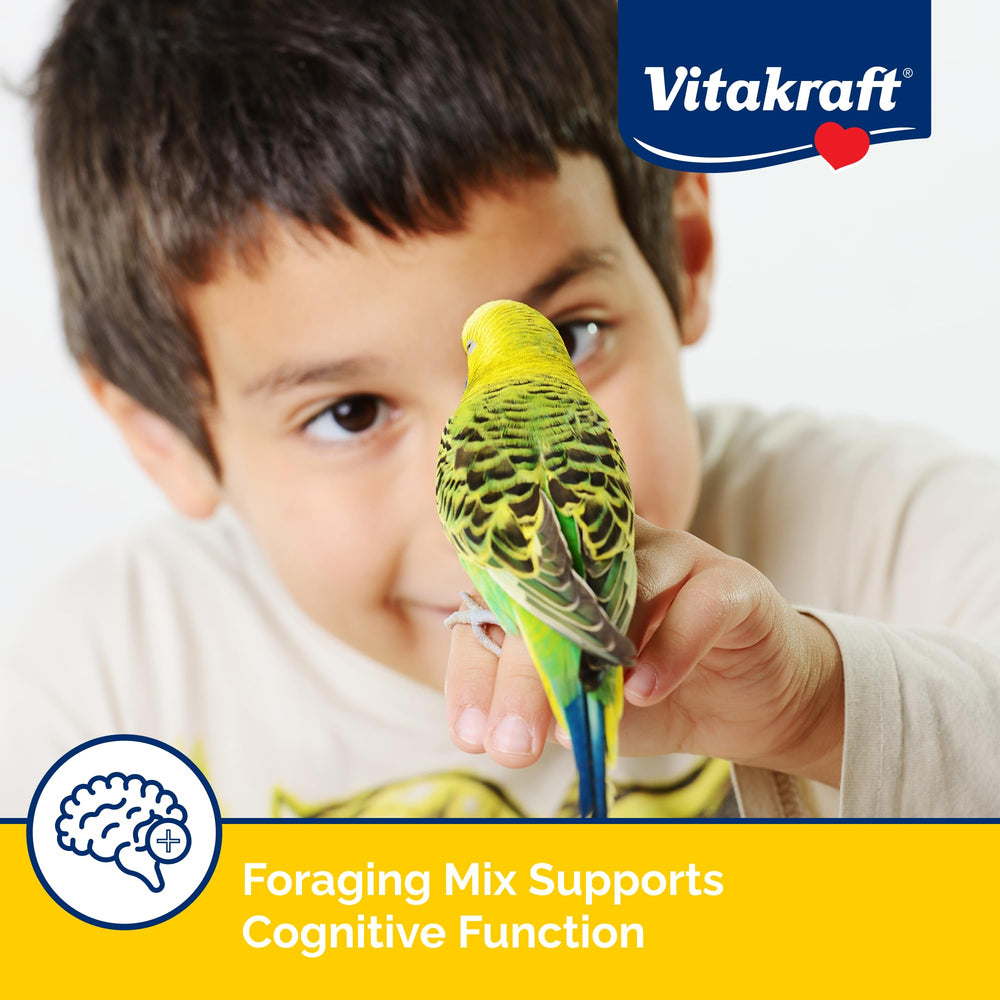Perruche mange Vita Smart Gourmet, enrichissement alimentaire et stimulation mentale.