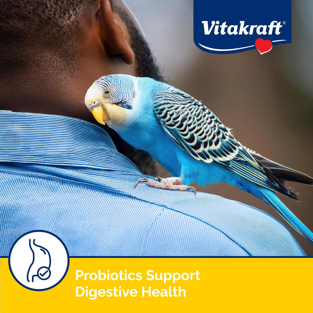 Gros plan sur les graines et huiles naturelles favorisant le plumage brillant.