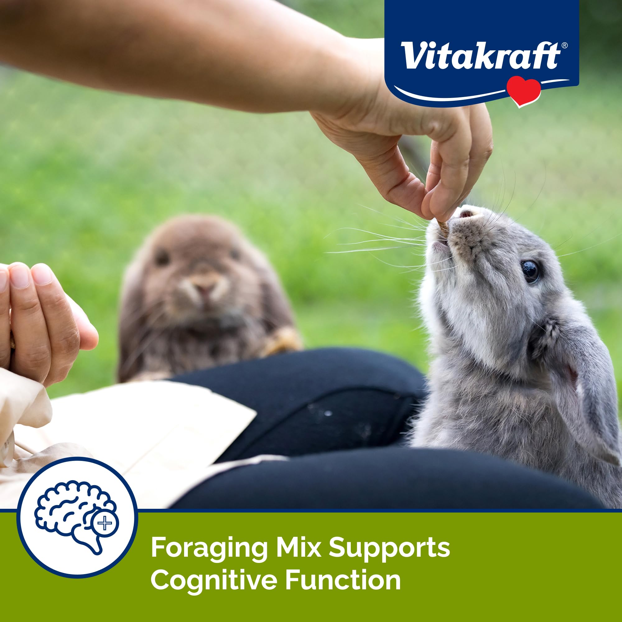 Mélange de forage stimulant l'exploration du lapin avec Vita Smart
