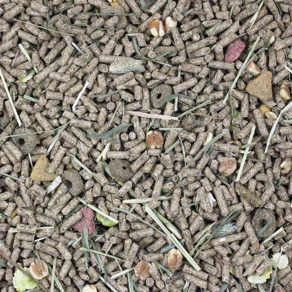 Mélange forage fruits-légumes pour stimulation et enrichissement.