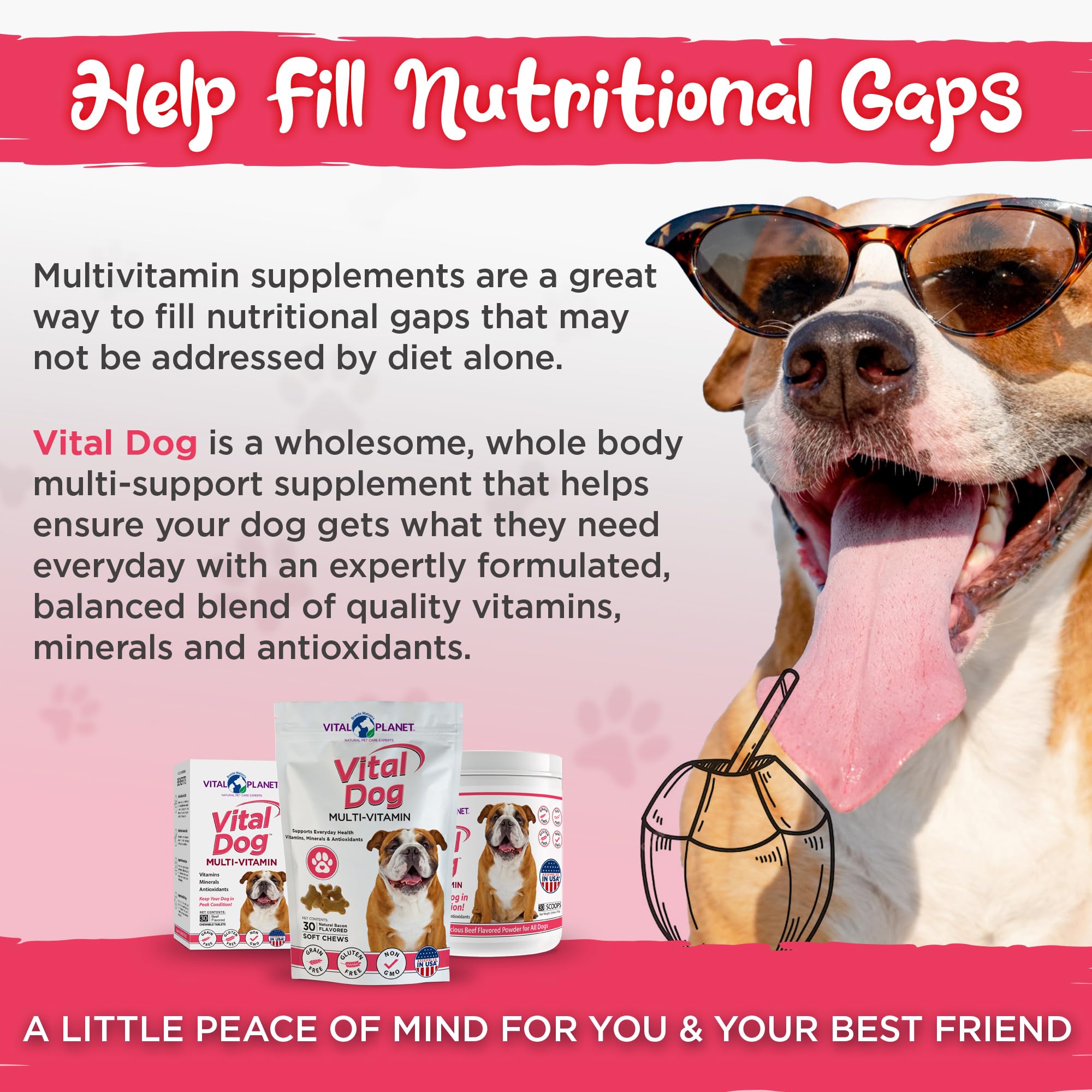 Vital Dog comprimés à croquer goût boeuf, pratique à intégrer.