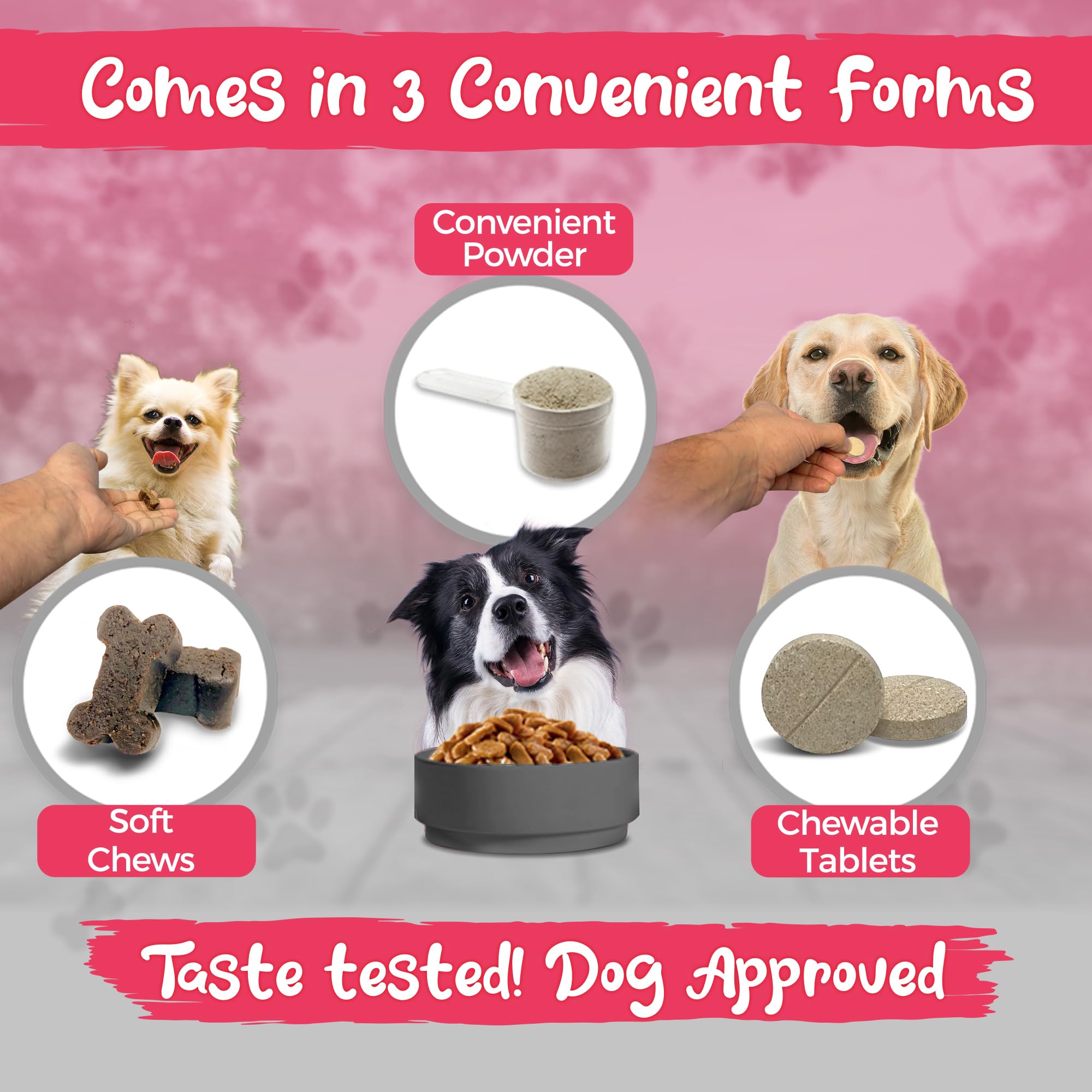 Vital Dog friandises molles saveur boeuf, option gourmande pour l'apport.
