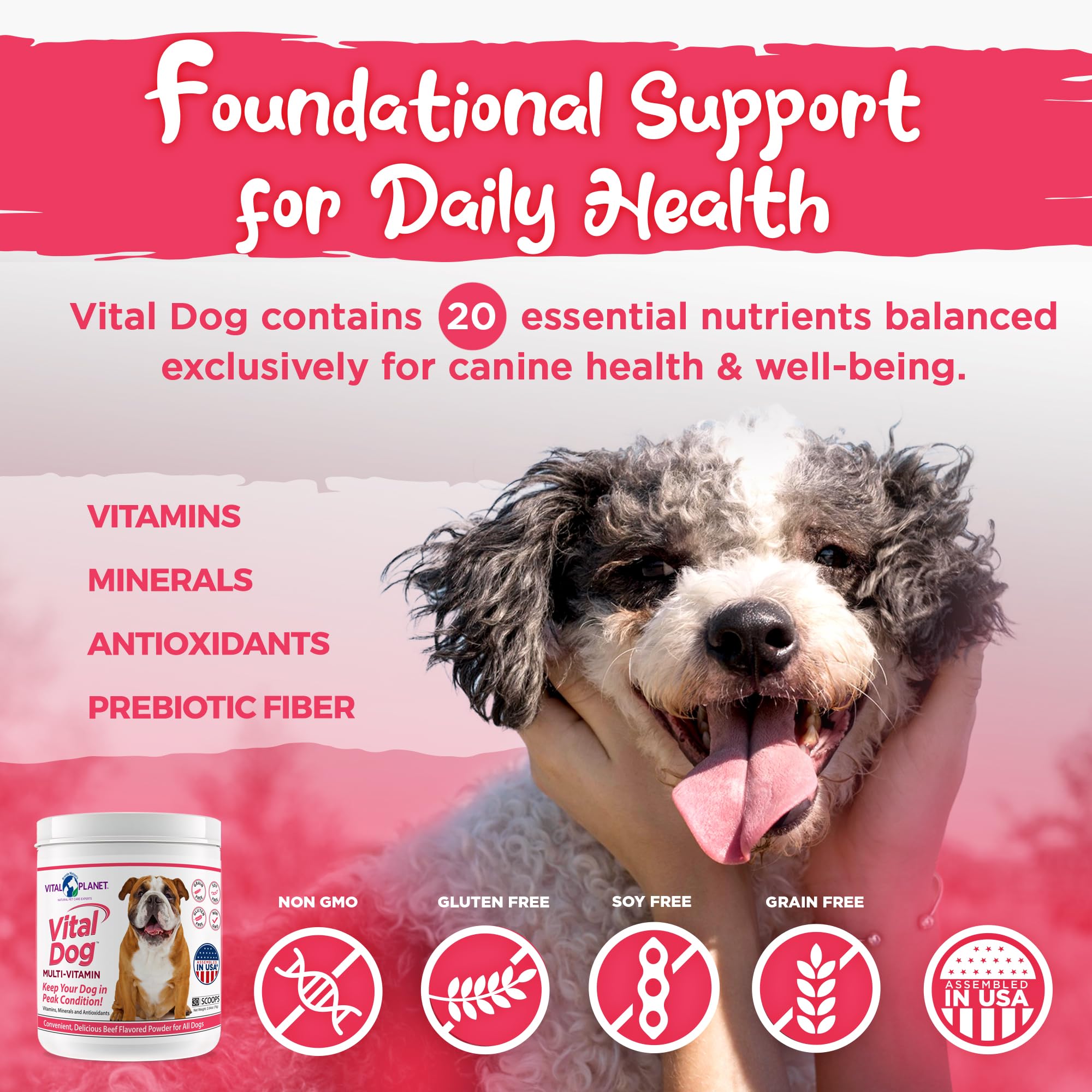 Vital Dog poudre saveur boeuf sur aliments humides, goût apprécié.