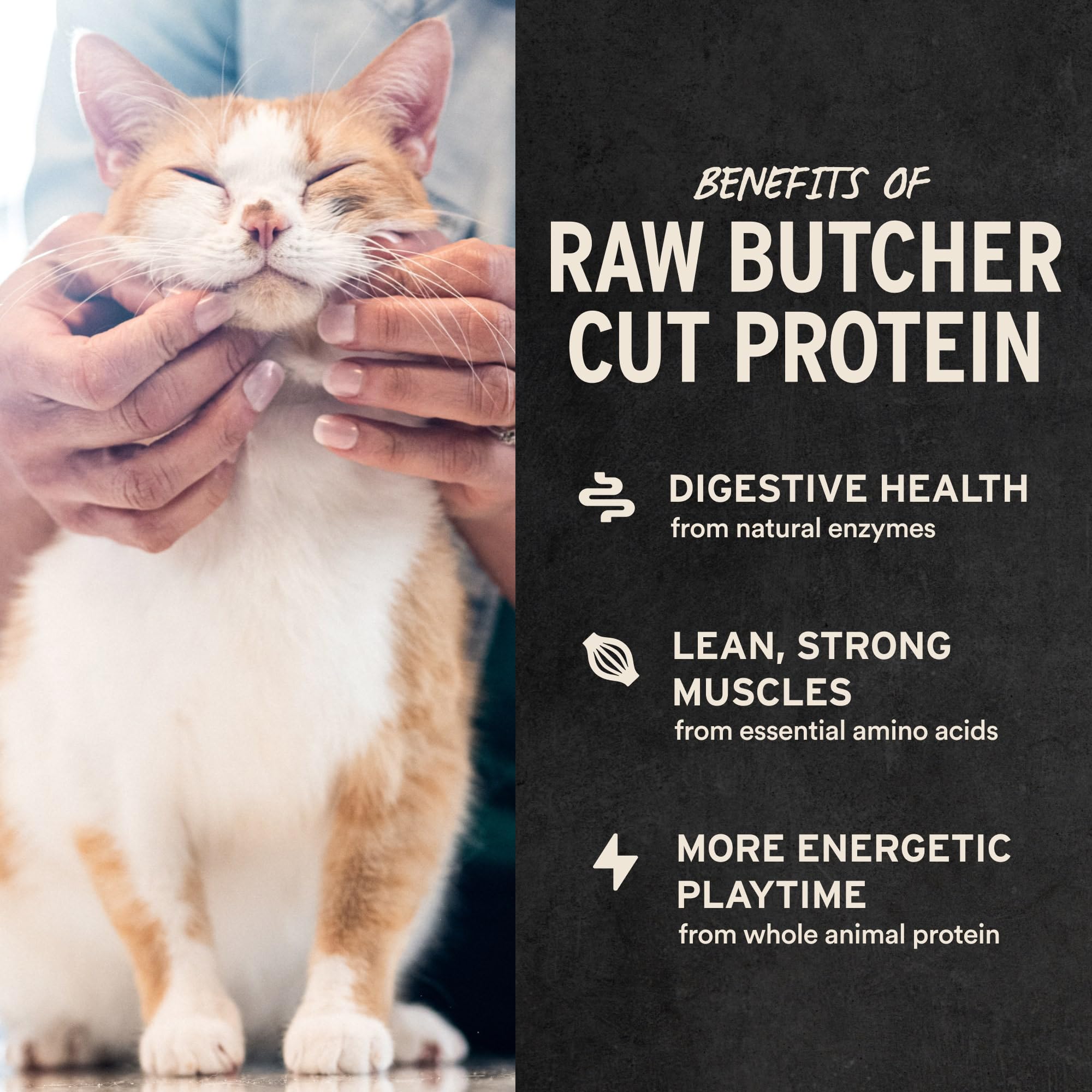 Vital Essentials: sachet refermable, pratique pour récompenser votre chat.