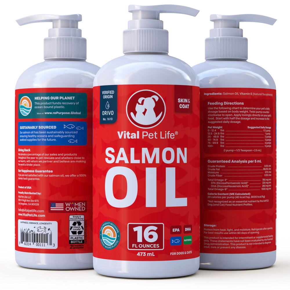 Vital Pet Life – approvisionnement durable du saumon, respectueux de l'environnement.