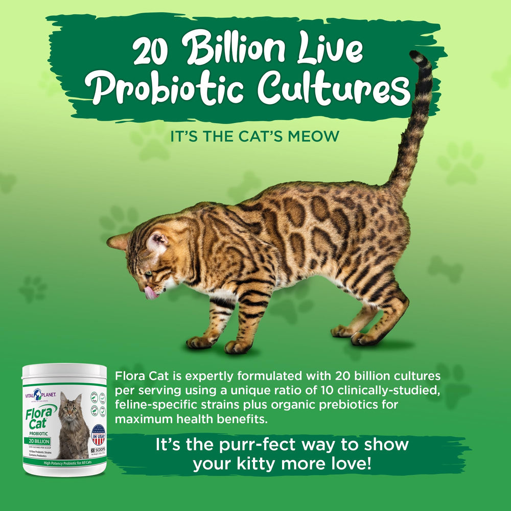 Vital Planet Flora Cat – utilisation quotidienne simple: une dose par chat.