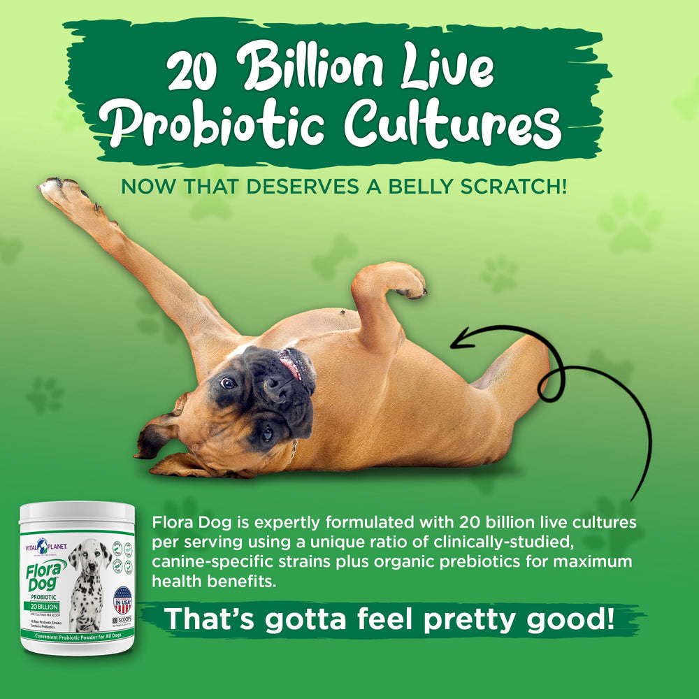 Vital Planet Flora Dog gommes-probiotiques pour une ingestion conviviale