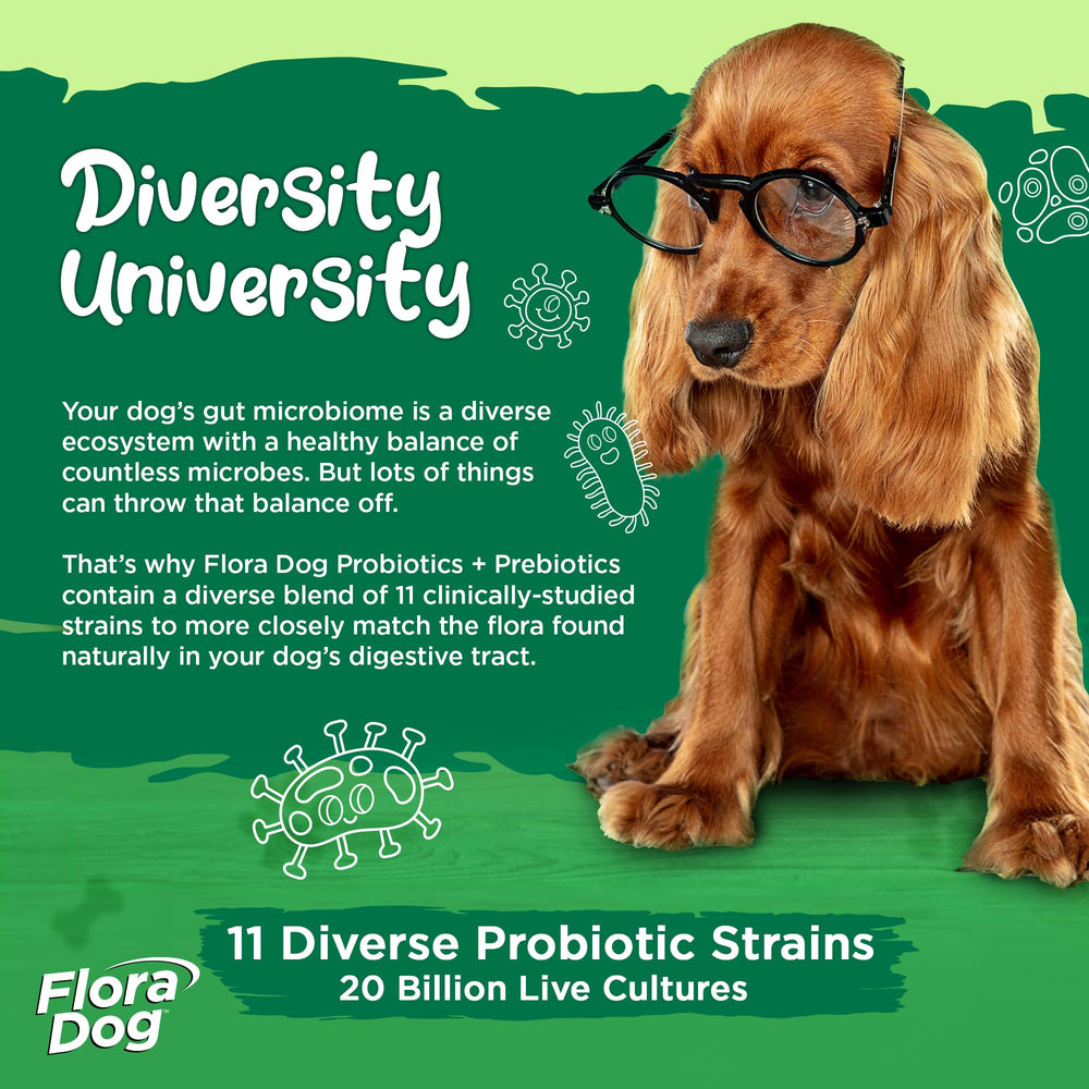 Vital Planet Flora Dog Probiotics : 11 souches canines pour équilibre intestinal