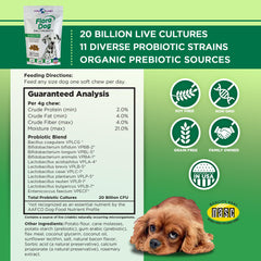 Vital Planet Flora Dog Probiotics : 20 milliards de cultures pour chien