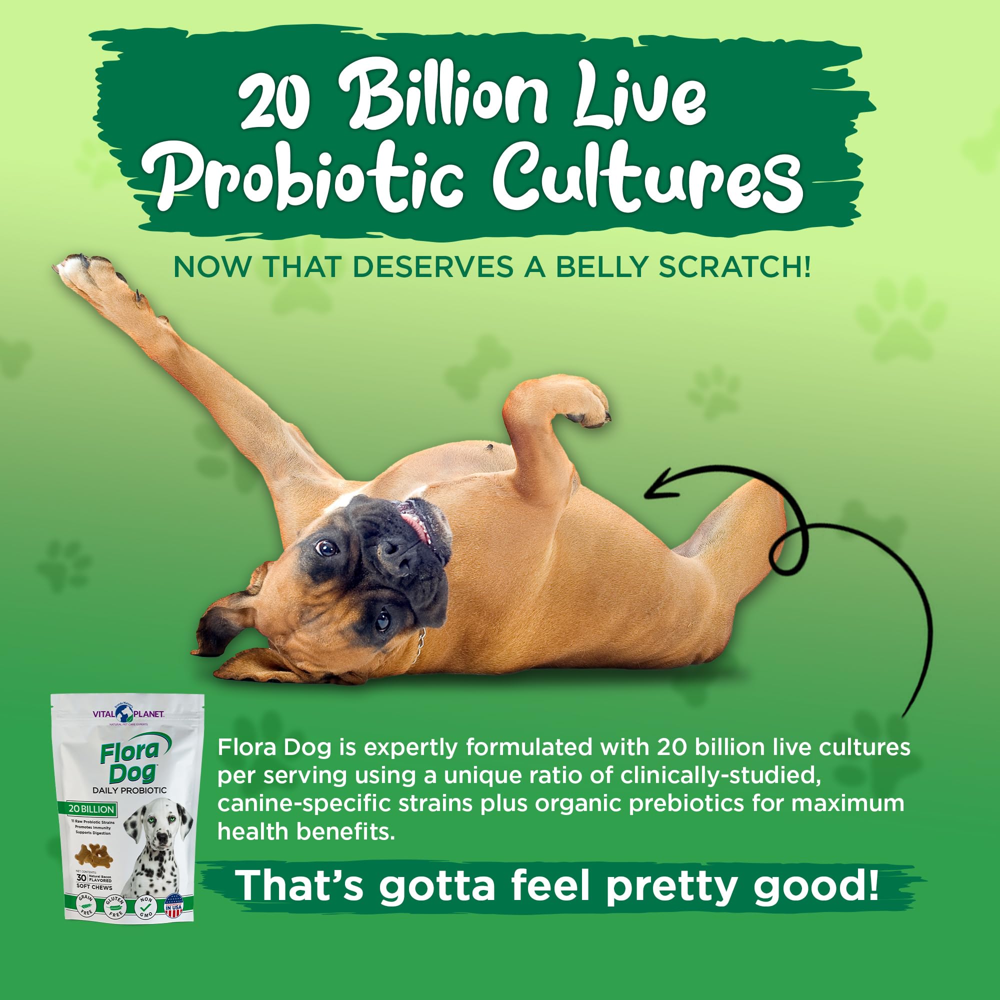 Vital Planet Flora Dog Probiotics : format poudre à saupoudrer sur nourriture