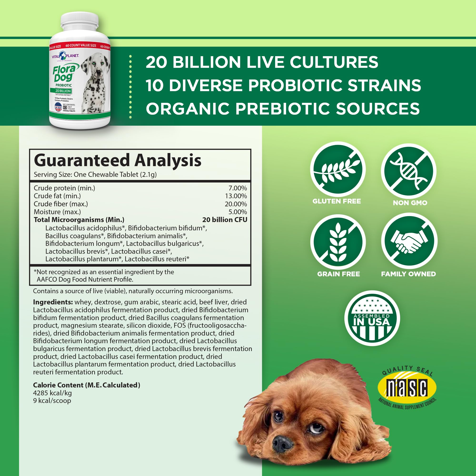 Vital Planet Flora Dog friables saveur boeuf, renforce l'immunité et l'équilibre intestinal.