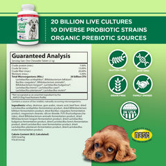 Vital Planet Flora Dog friables saveur boeuf, renforce l'immunité et l'équilibre intestinal.