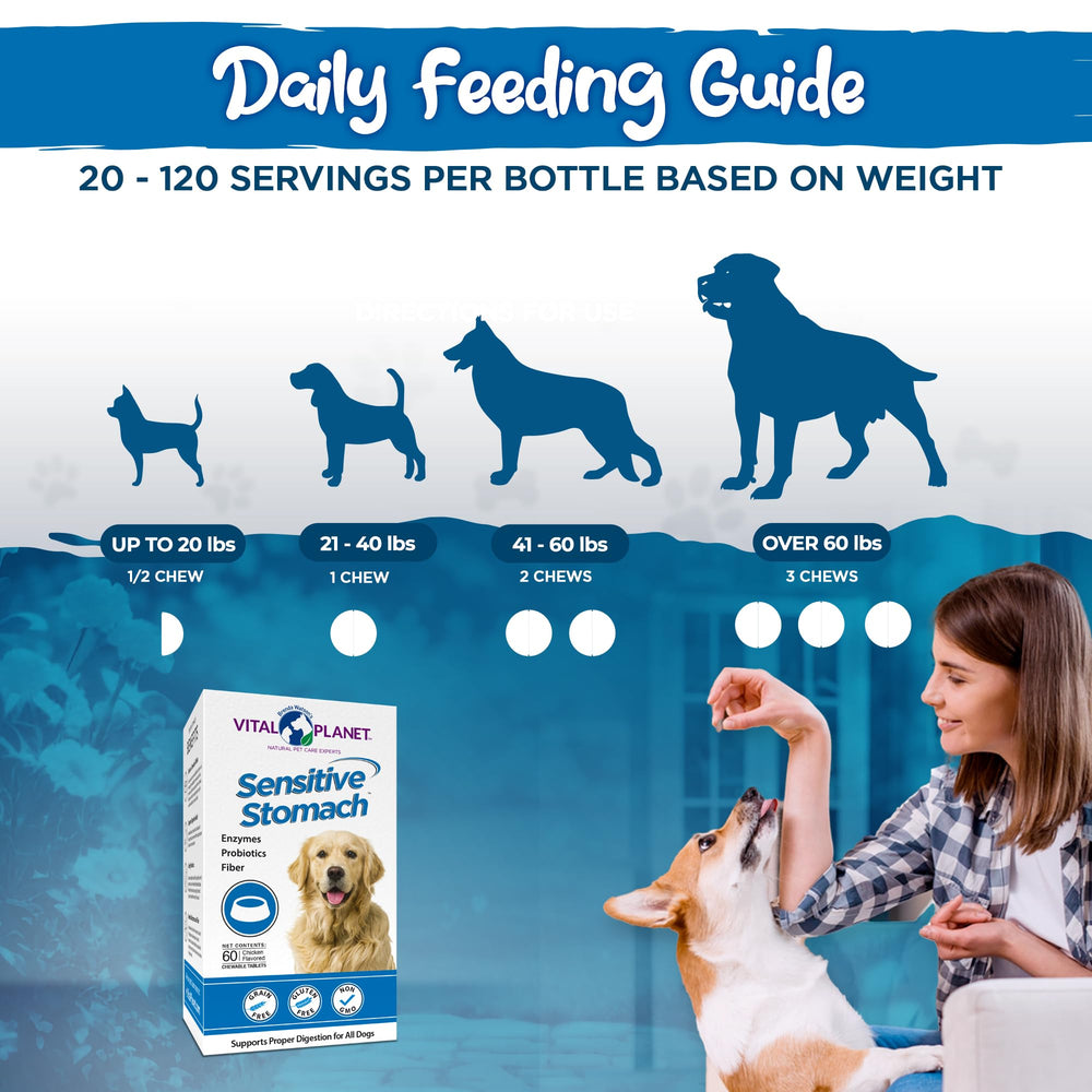Vital Planet: utilisation quotidienne pour soutenir la digestion du chien