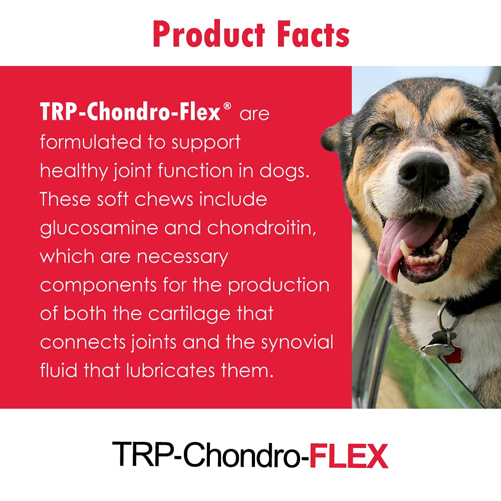 Vitality Chondro-Flex DS, contenu durable en gommes pour usage prolongé.