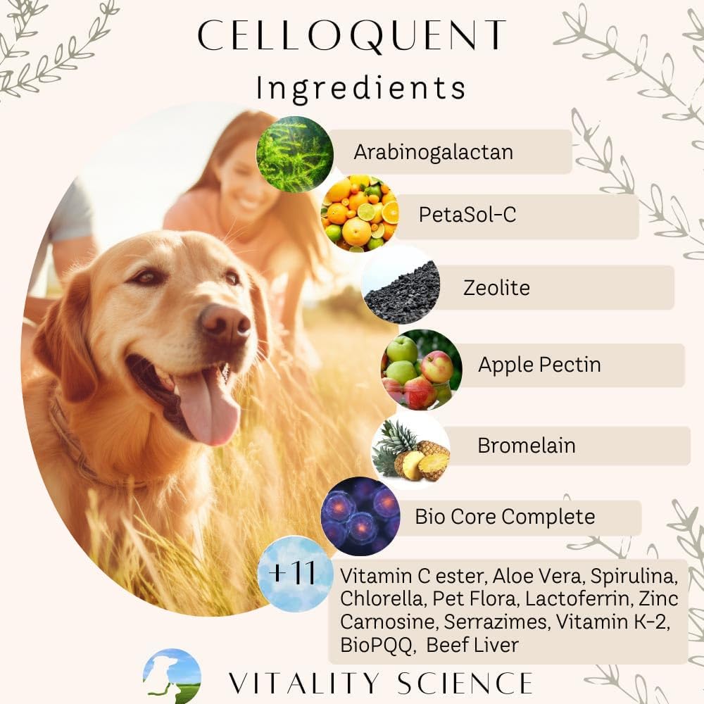 Poudre Celloquent avec cuillère prête à être ajoutée à la nourriture du chien.