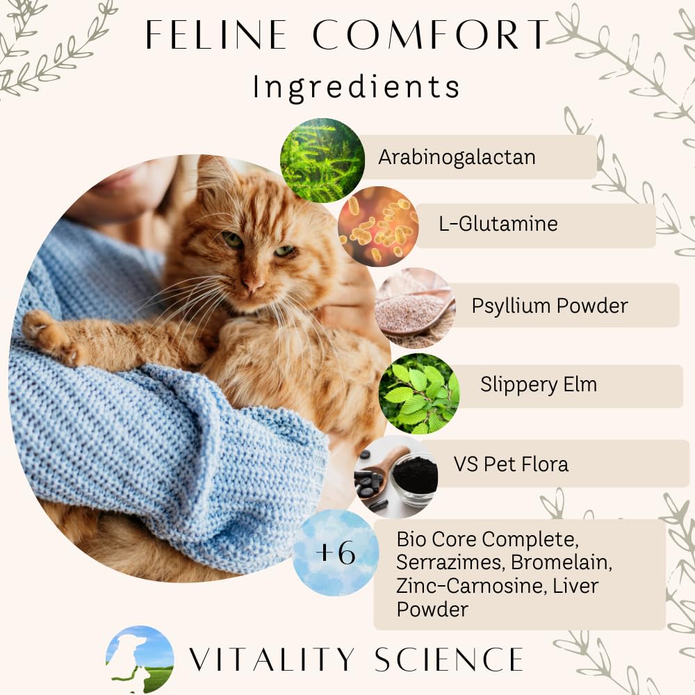 Vitality Science Confort Félin – Probiotiques et prébiotiques favorisant une flore équilibrée.