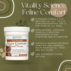 Vitality Science Feline Comfort: chat mangeant calmement, indicateur d'une digestion douce.