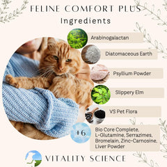 Vitality Science Feline Comfort Plus, vue poudre digestive, facilité d'utilisation.