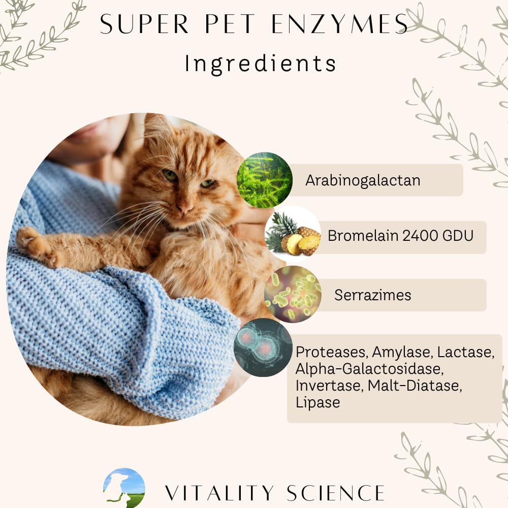 Vitality Science Super Pet Enzymes — diarree et constipation potentielles; utilisation pratique dans les repas