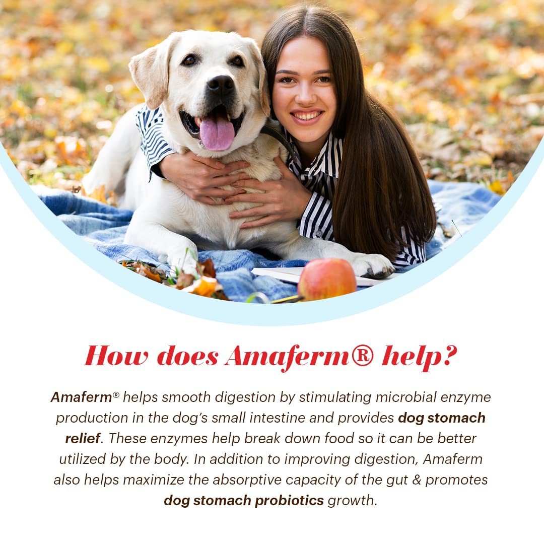 Chien content après l’utilisation régulière de Vitalize Alimend K9.