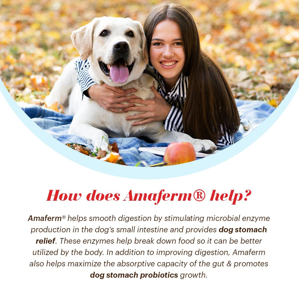 Chien content après l’utilisation régulière de Vitalize Alimend K9.