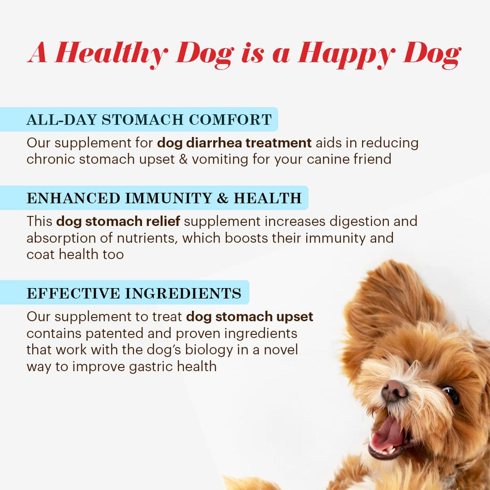 Utilisation quotidienne simple pour votre chien avec Vitalize Alimend K9.