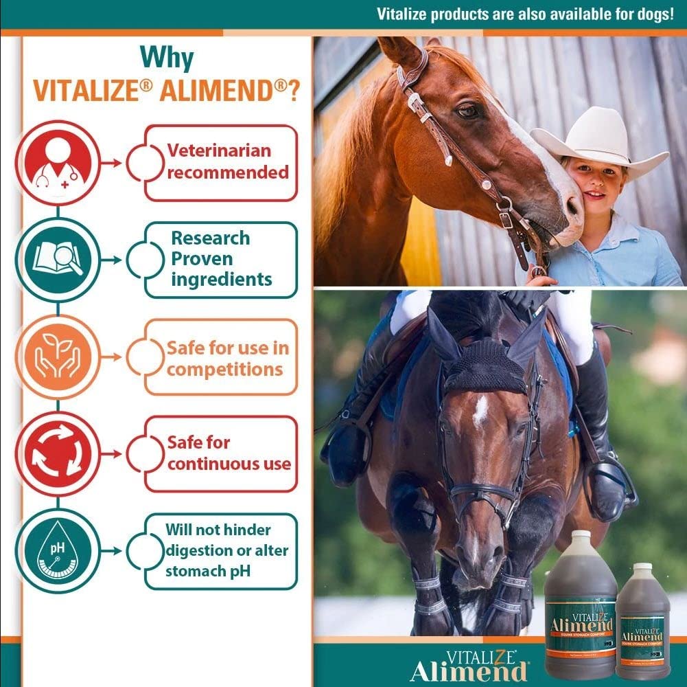 Voyage avec cheval, soutien potentiel lors des déplacements.