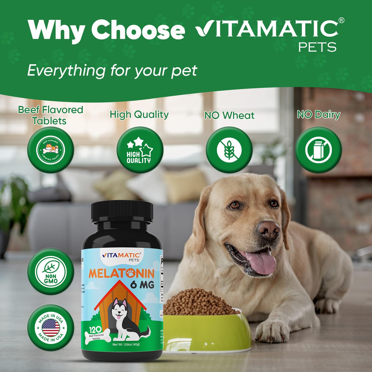Vitamatic Mélatonine pour chien — lors des feux d'artifice, peut soutenir le confort.