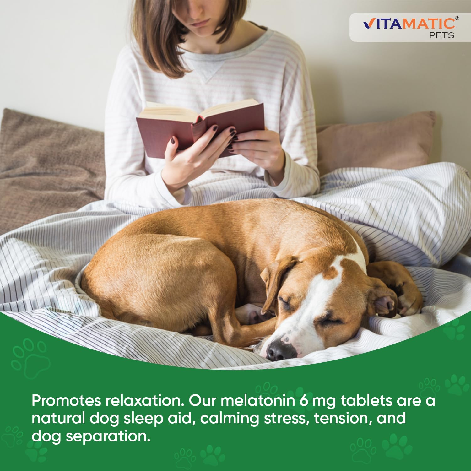 Vitamatic Mélatonine pour chien — en pension, aide à apaiser l'anxiété pendant l'absence.