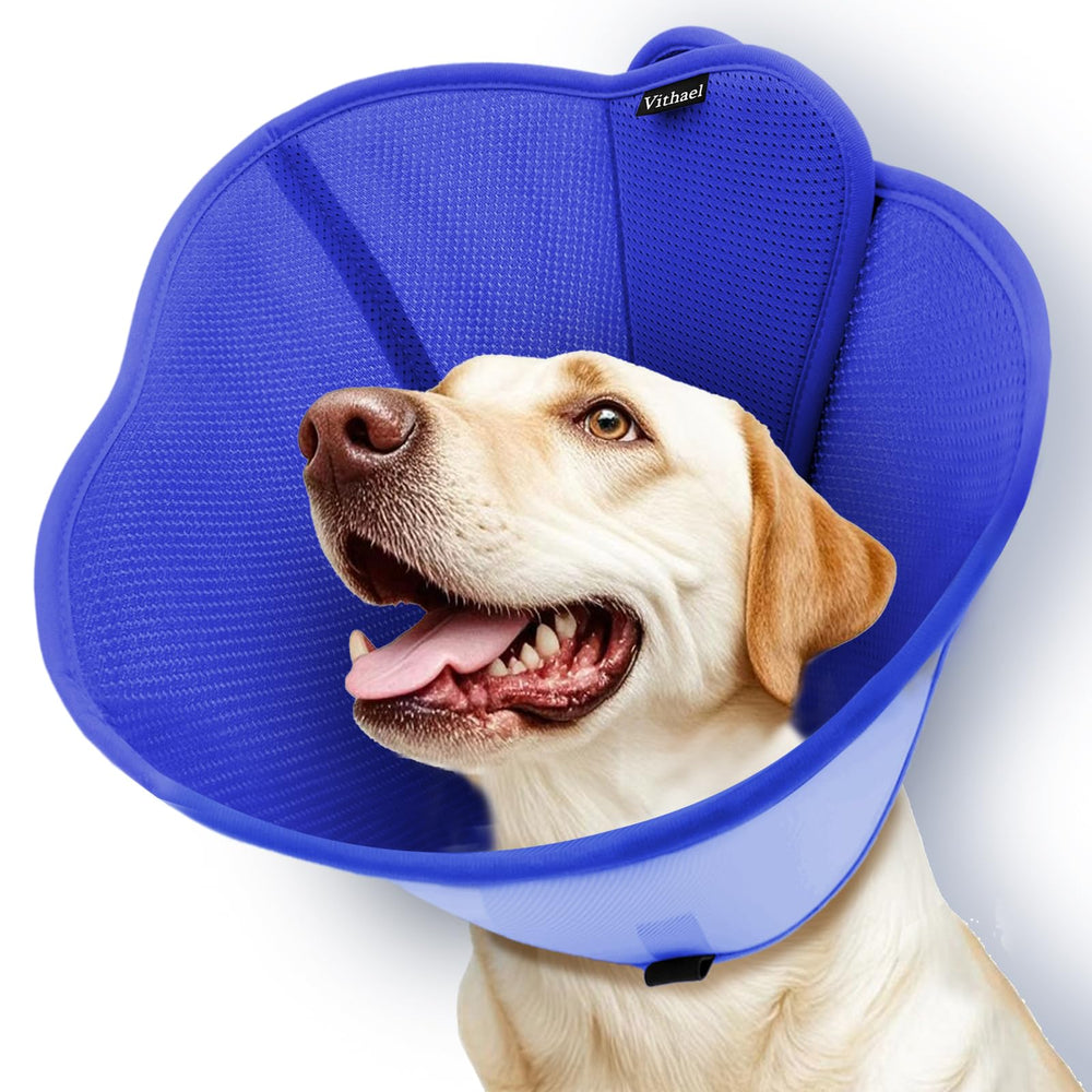 Vithael cone-chien double-couche bleu S, confort durable lors de la récupération.