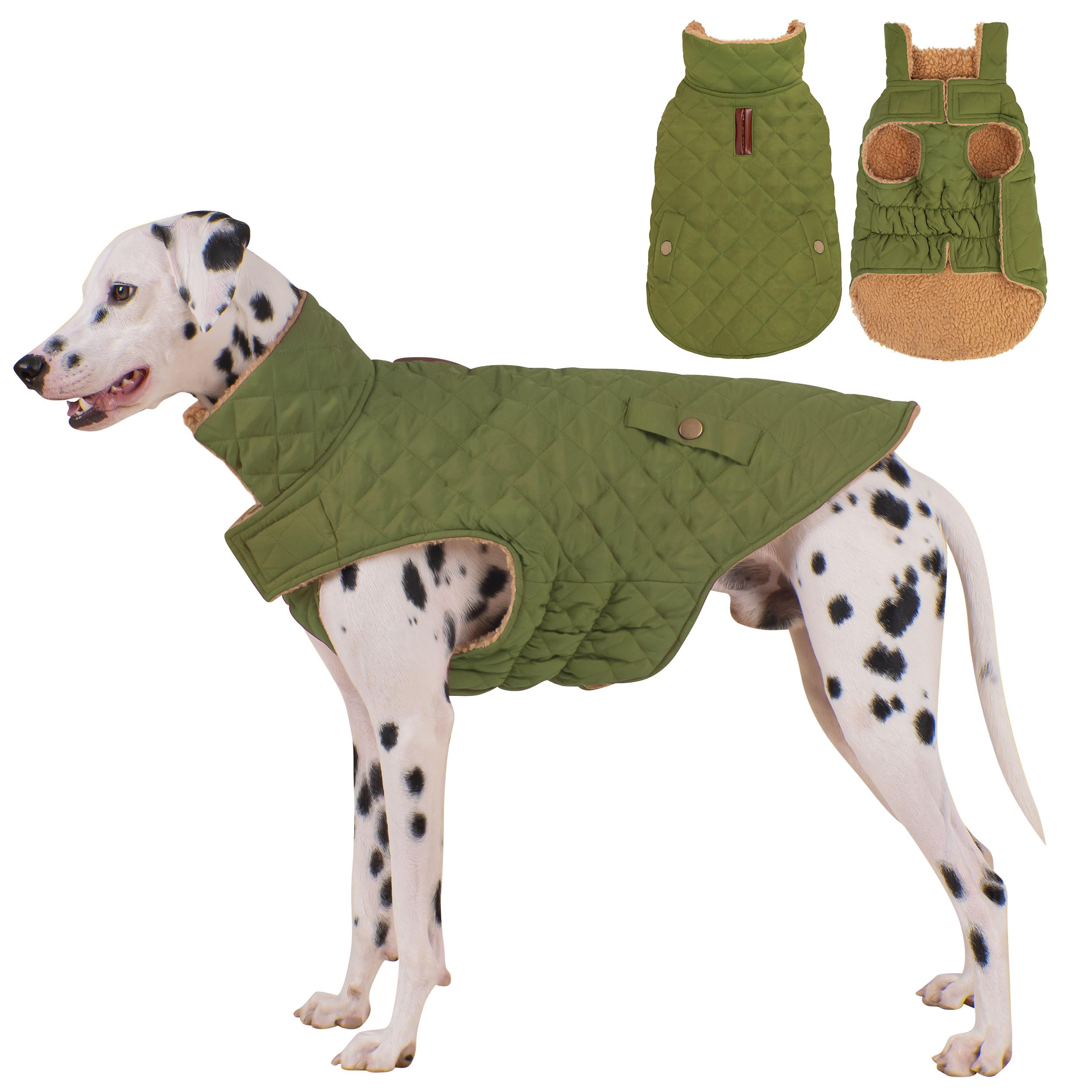 Manteau Vitiswap vert pour chien, imperméable et chaud.