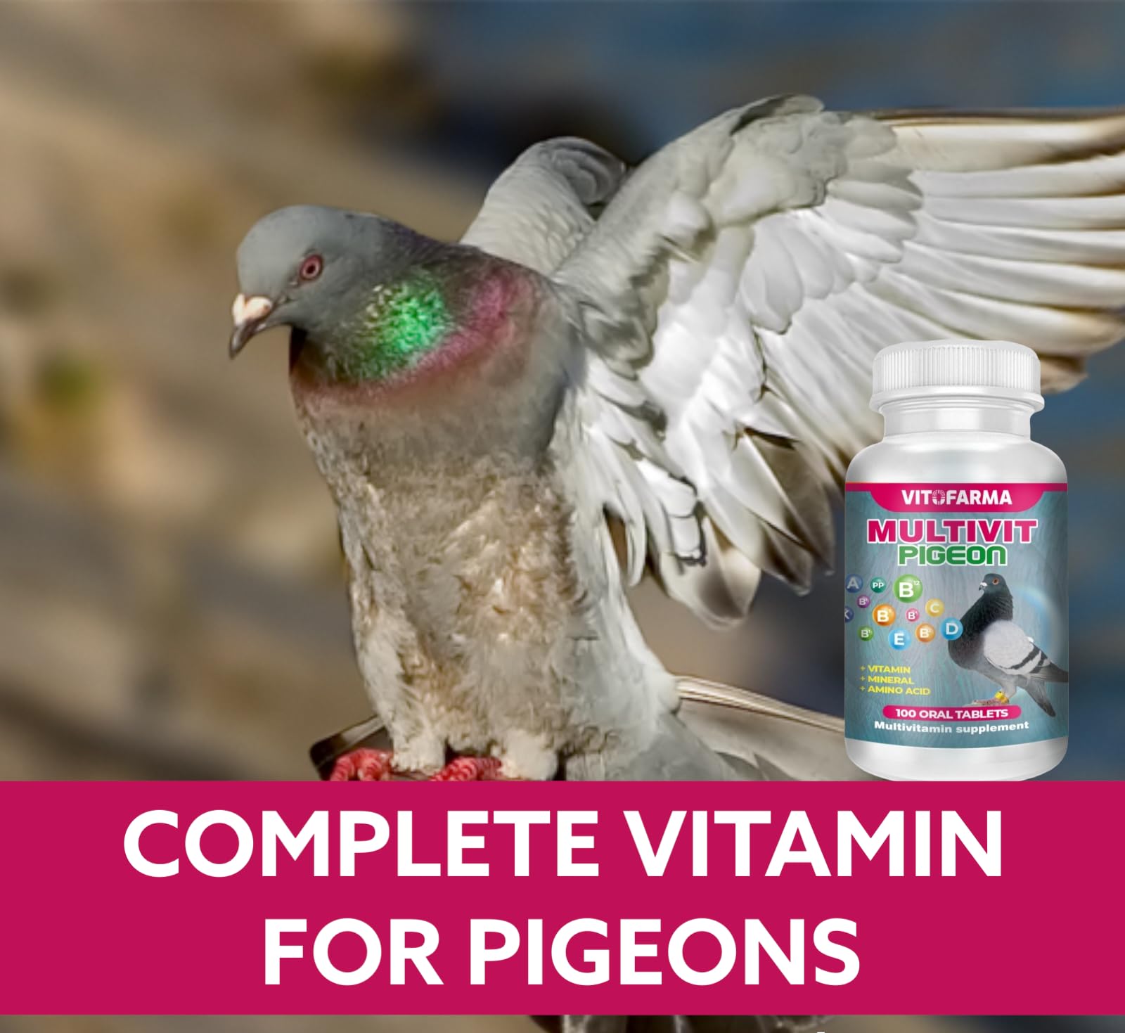 Étiquette et packaging de Vitofarma Multivit Pigeon.