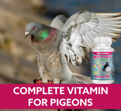 Étiquette et packaging de Vitofarma Multivit Pigeon.
