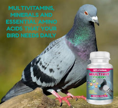 Vitofarma Multivit Pigeon: comprimés faciles à administrer pour les pigeons adultes.