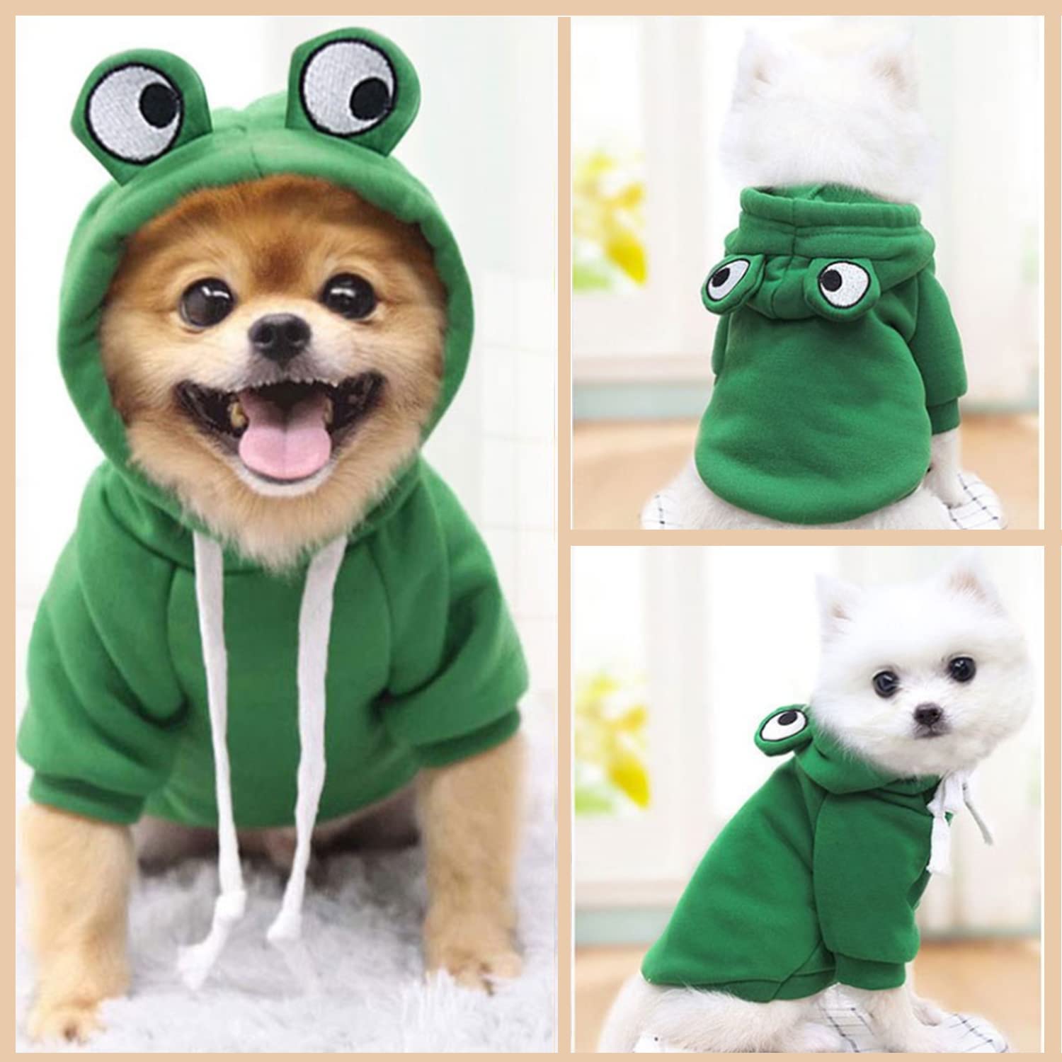 VITSOLE cadeau idéal pour animaux, mignon et pratique.