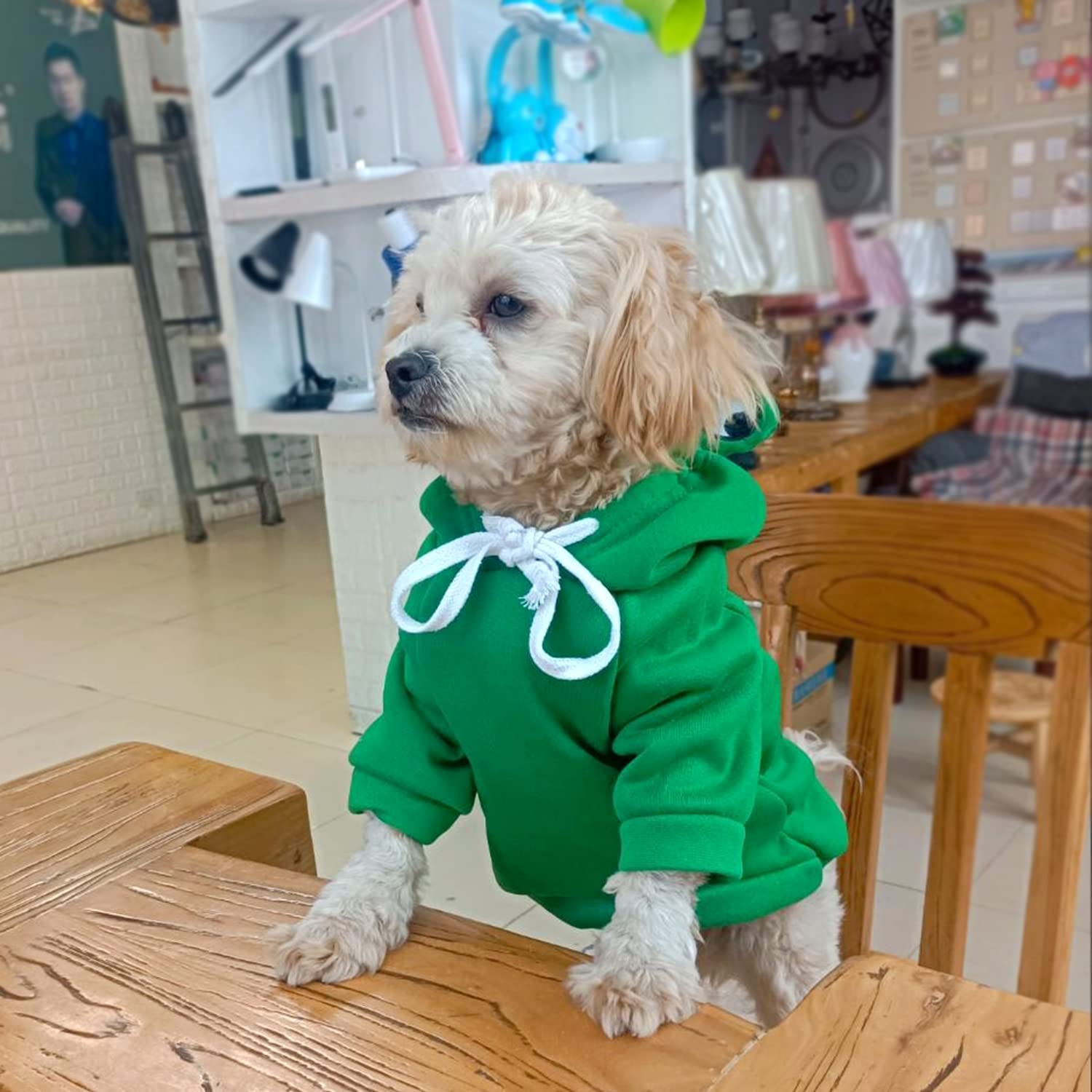 VITSOLE veste petit chien grenouille, idéal pour sorties par temps frais.