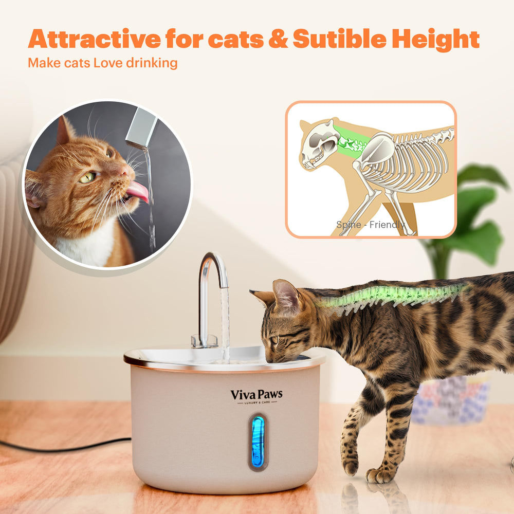 Viva Paws nettoyage au lave-vaisselle des pièces