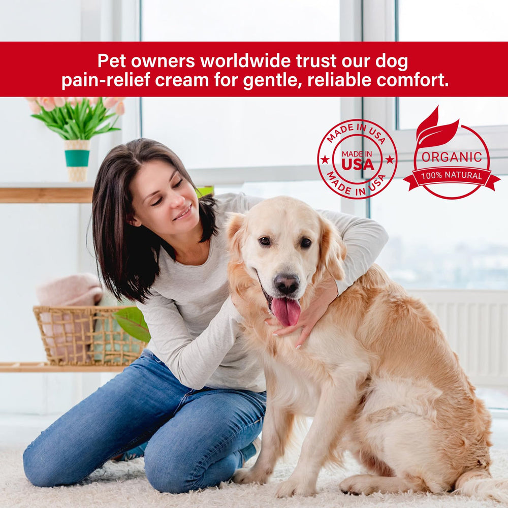 VivaElixir anti inflammatoire chien – réduction possible de l inconfort après l effort