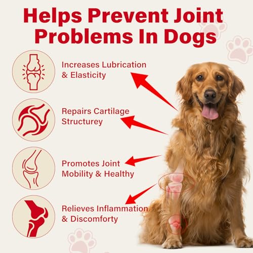 VivaElixir magnesium huile ricin – soutien mobilité et muscles canins