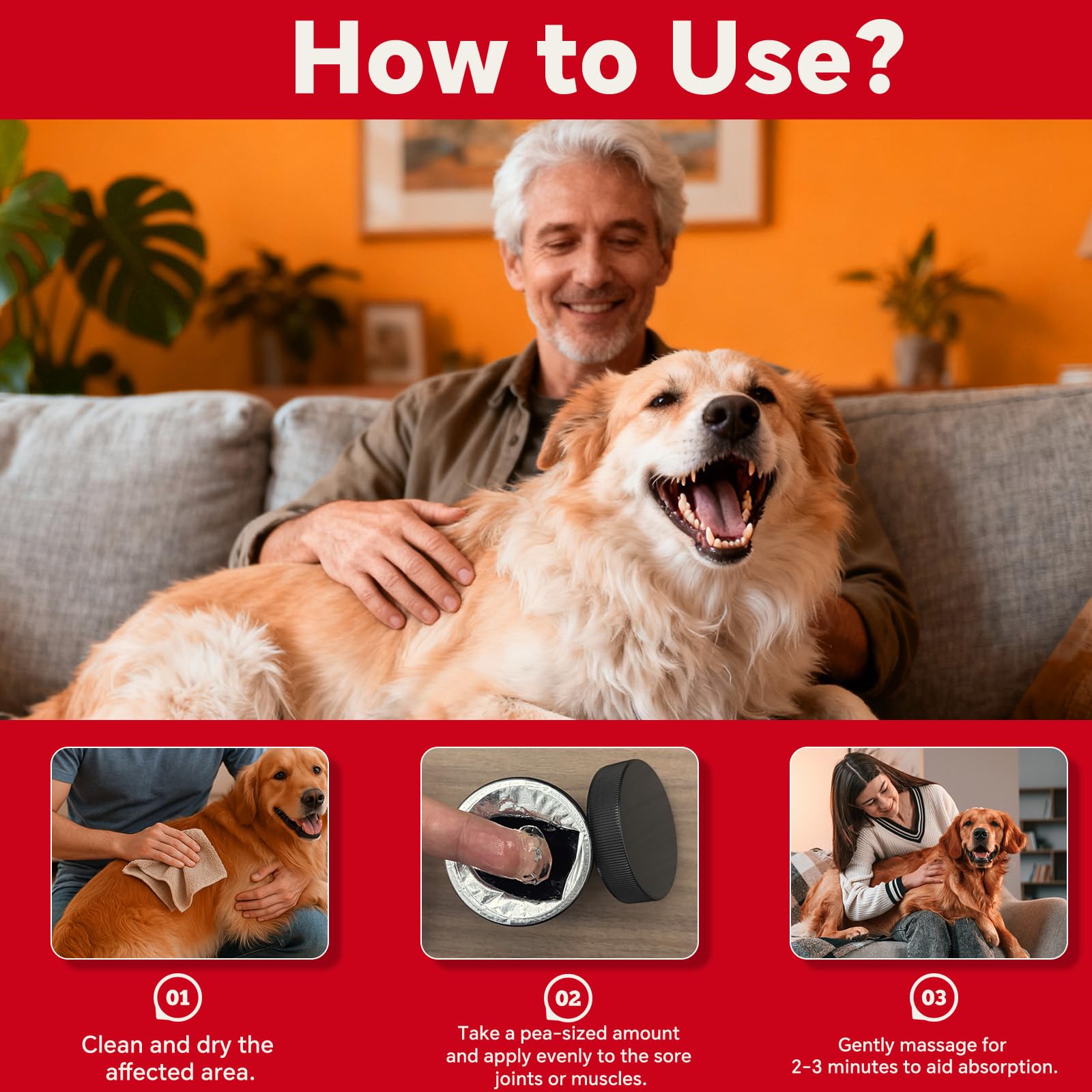 VivaElixir massage relief chien – ritualisation simple pour le confort quotidien